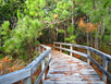 Hammock Hills Nature Trail on Ocracoke Island